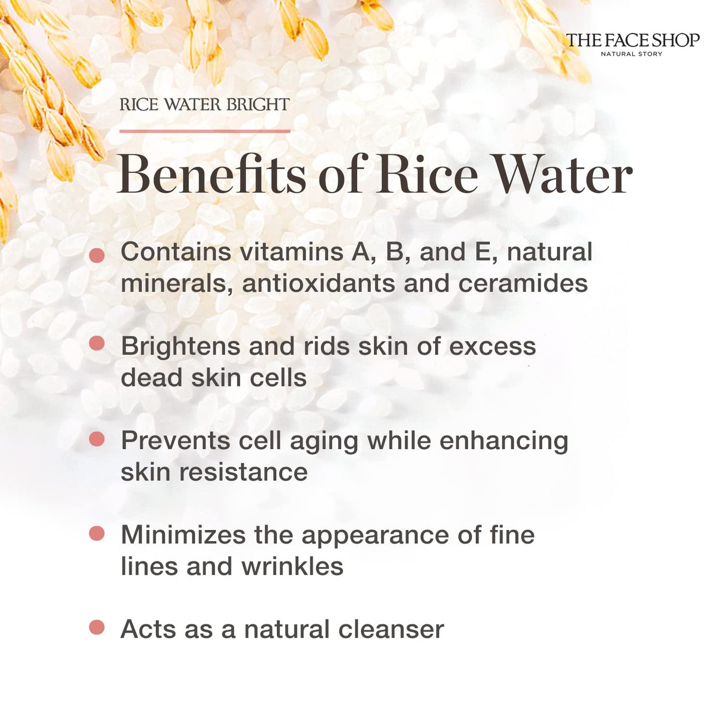 THE FACE SHOP - Rice & Ceramide Moisturizing Cream